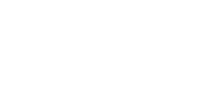 Vossi